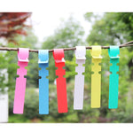 100 PCS Gardening Plant Sapling Seed Hanging Tree Label, Plant Label 5 White, Plant Label 5 Pink, Plant Label 5 Yellow, Plant Label 5 Green, Plant Label 5 Blue, Plant Label 5 Red