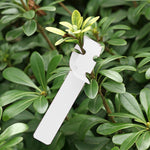 100 PCS Gardening Plant Sapling Seed Hanging Tree Label, Plant Label 5 White, Plant Label 5 Pink, Plant Label 5 Yellow, Plant Label 5 Green, Plant Label 5 Blue, Plant Label 5 Red