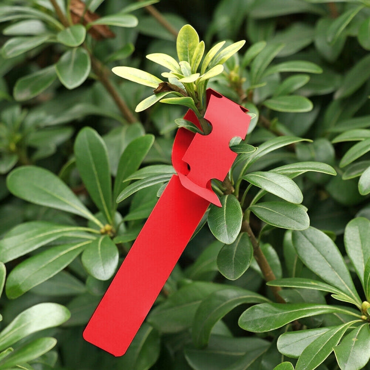 100 PCS Gardening Plant Sapling Seed Hanging Tree Label, Plant Label 5 White, Plant Label 5 Pink, Plant Label 5 Yellow, Plant Label 5 Green, Plant Label 5 Blue, Plant Label 5 Red