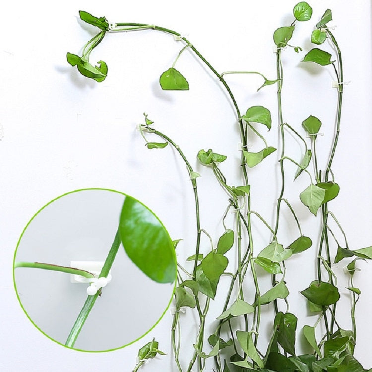 10 PCS Lulu Climbing Wall Fixer Vine Climbing Wall Sticking Hook, 10pcs Small (White), 10pcs Medium (White), 10pcs Large (White)