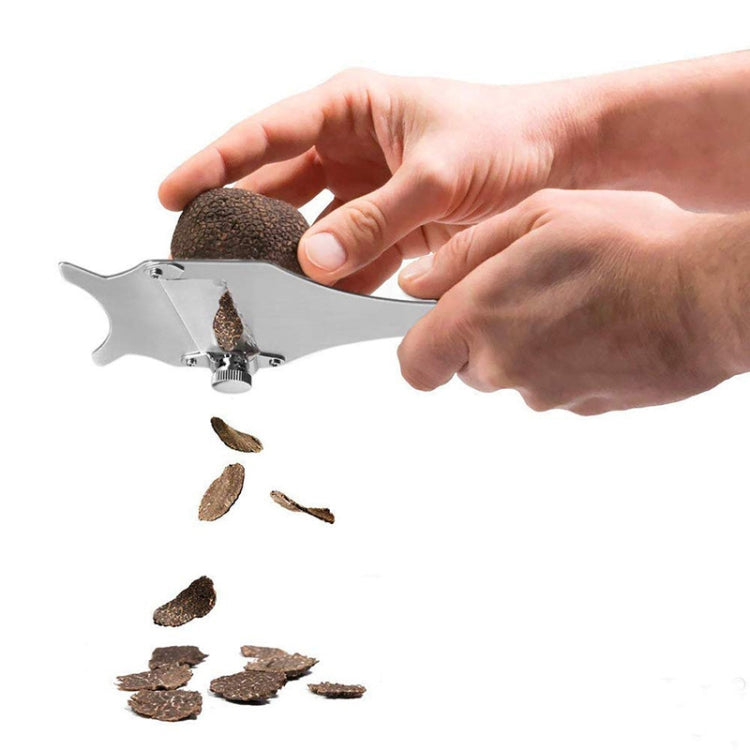 Alt immagine