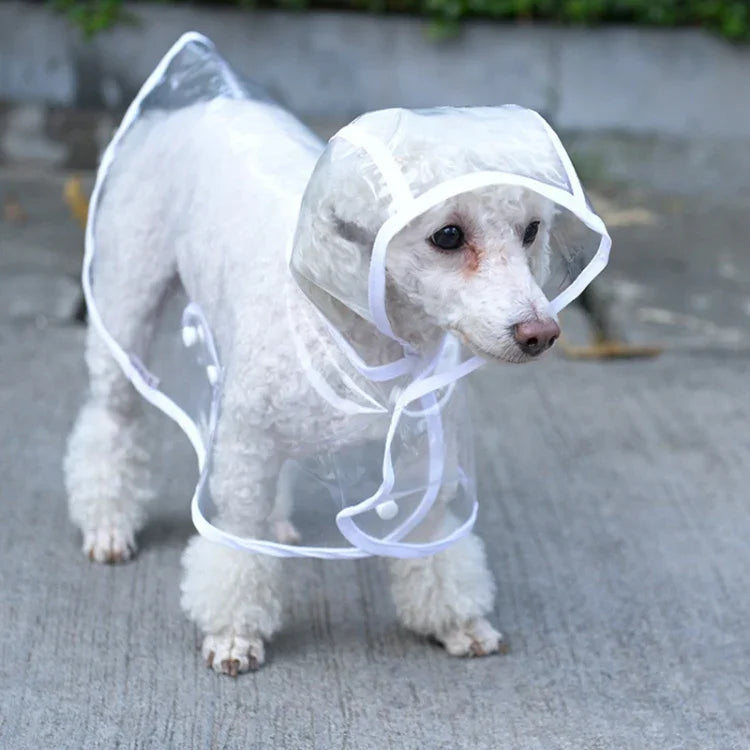 Waterproof Transparent Raincoat Clothing for Pet Dog, S, M