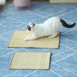 Cat Scratch Pad Pet Supplies Carpet Sleeping Mat Cat Placemat, Random Color Delivery - Trustpick