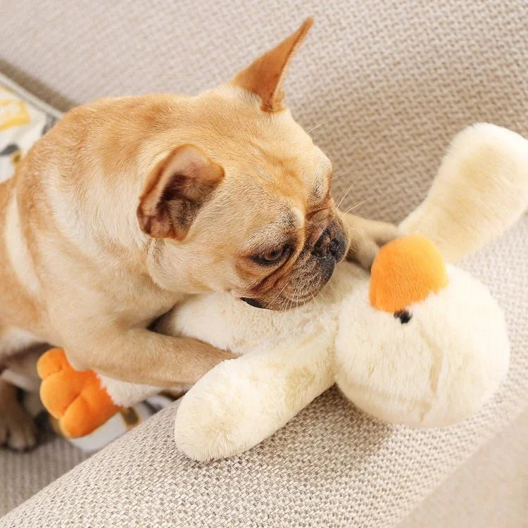 Hoopet Dog Biting Toy Pet Plush Duckling Sound Toy - Trustpick