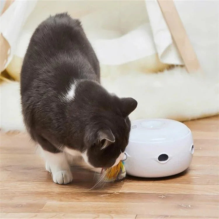 画像代替テキスト